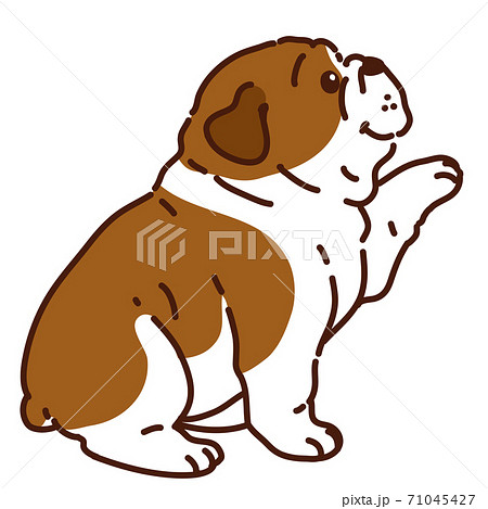 犬の手のイラスト素材