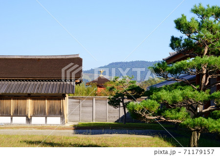 朱雀 鳳凰の写真素材