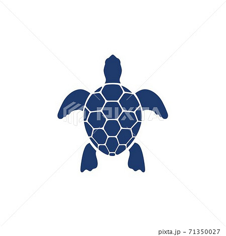 ウミガメのシルエットの写真素材