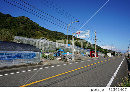 いちご海岸通りの写真素材