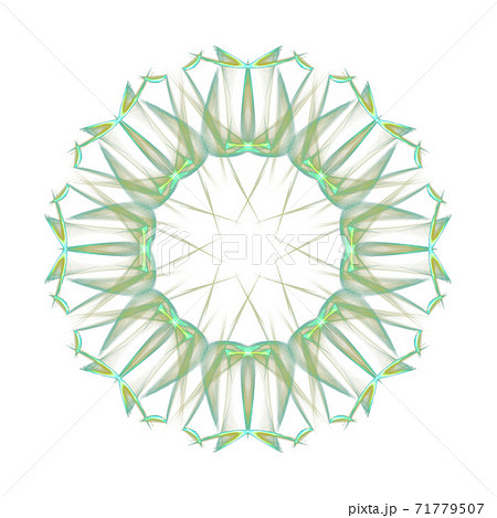 コンパス フラワーの写真素材