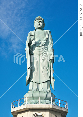 びわこ大仏 琵琶湖 大仏 滋賀県の写真素材