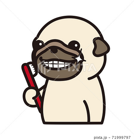犬の歯磨きのイラスト素材