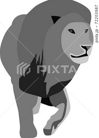 ライオンのイラスト素材集 Pixta ピクスタ