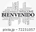 Bienvenido (Welcome in Spanish) word cloud - Stock Illustration  [72231059] - PIXTA