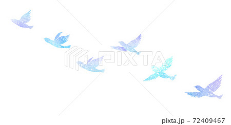鳥類 渡り鳥 青い鳥 綺麗のイラスト素材