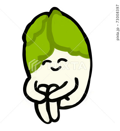 Napa Cabbage Illustrations