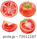 トマト断面 輪切りのイラスト素材