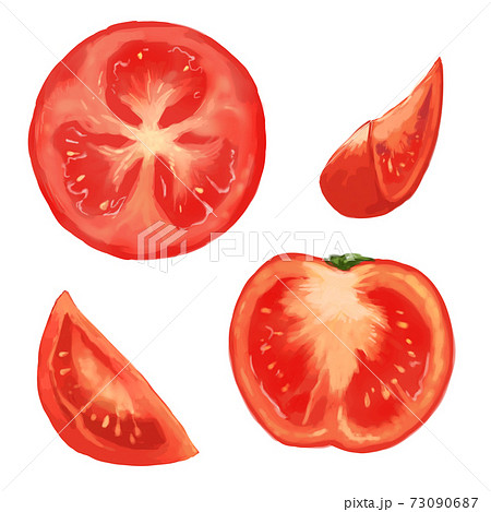 トマト断面 切り口のイラスト素材
