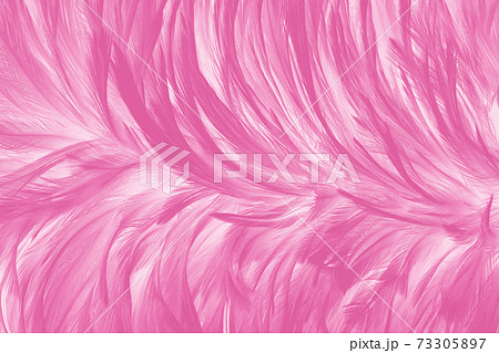 Beautiful Golden Yellow Bird Feathers Pattern Texture Background