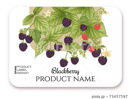 デューベリーの写真素材