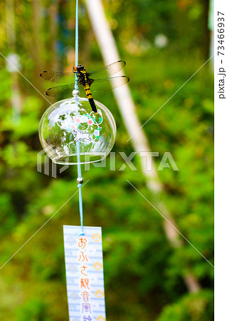 ふうりん 風鈴 夏コンテンツ 夏イメージの写真素材