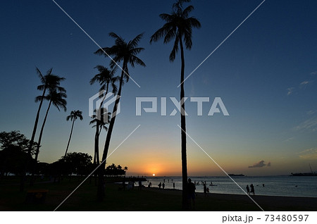 モンキーポットの写真素材 - PIXTA