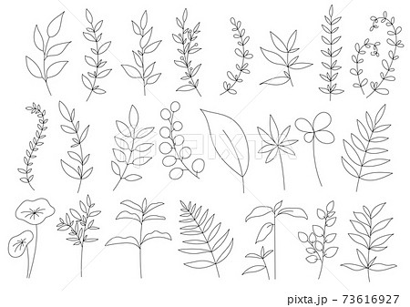 模様 植物 モノクロ 葉のイラスト素材