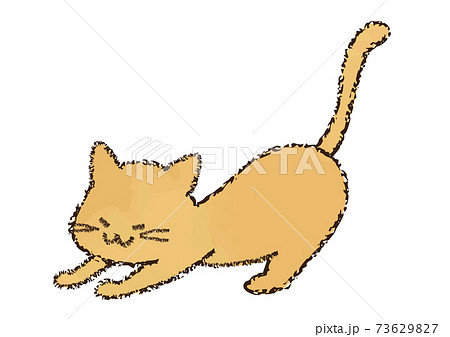 猫 伸び イラスト 動物の写真素材