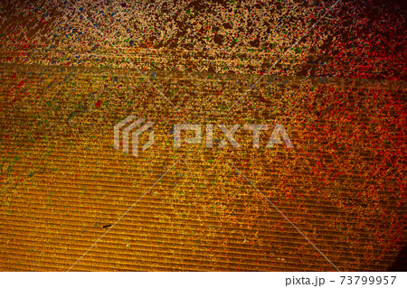 赤いペンキと茶色のペンキが吹き付けられた壁,どろどろ,ベチャベチャ、