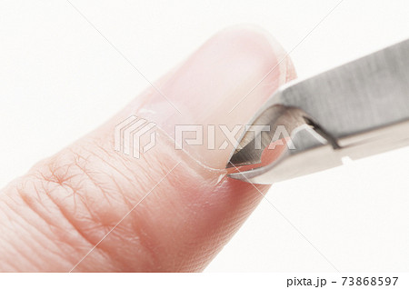 甘皮処理の写真素材