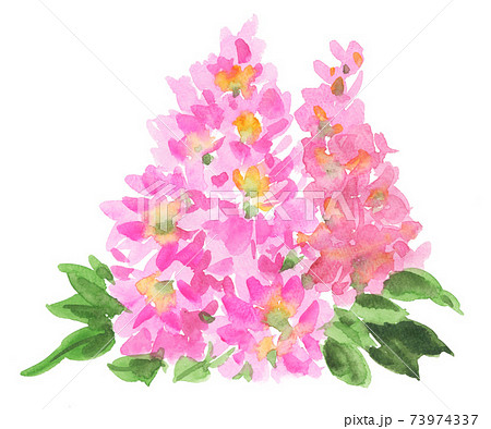 花 ストック 水彩 ピンク色のイラスト素材