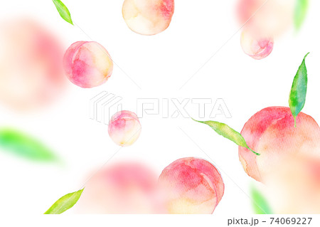 フルーツ 桃 イラスト かわいいのイラスト素材