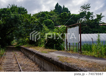 旧国鉄倉吉線 泰久寺駅跡 倉吉線廃線竹林 年8月 の写真素材