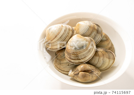 美之主貝