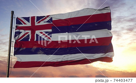 ハワイ ハワイの ハワイ州 旗のイラスト素材