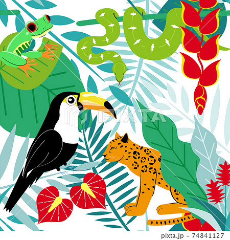 ジャングルのイラスト素材集 ピクスタ