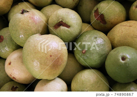 食べ物 果物 グァバ フトモモ科の写真素材
