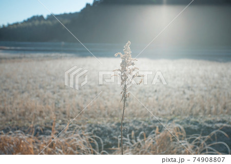 切ない 冬の写真素材