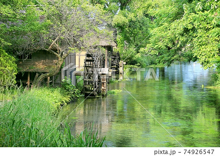 水車 新緑 安曇野 風景の写真素材 - PIXTA