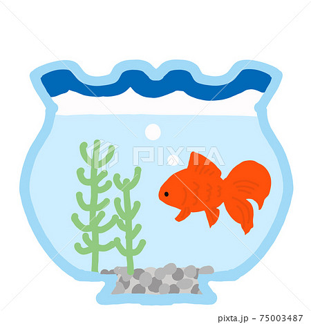 金魚鉢 金魚 イラスト 水草のイラスト素材