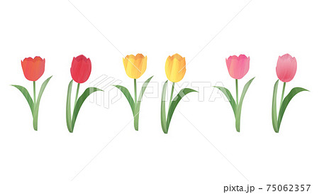 花一輪のイラスト素材