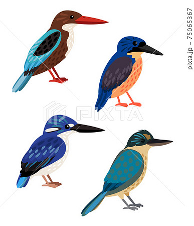 ベクター 鳥 カワセミ 飛ぶのイラスト素材