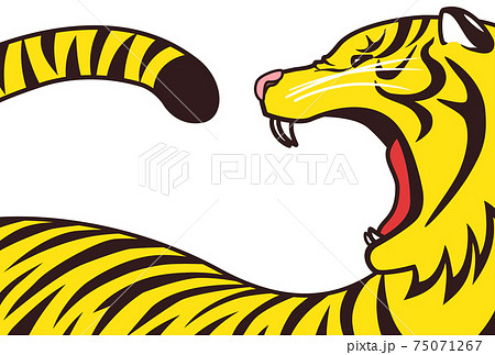 虎 動物 ネコ科 横顔の写真素材