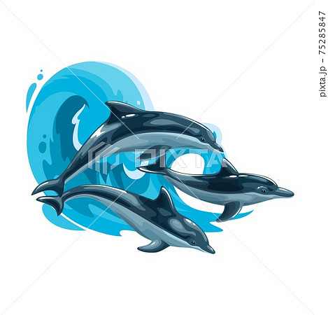 ジャンプ 水しぶき イルカ イラストのイラスト素材
