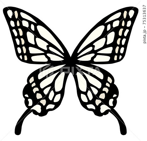 アゲハ 蝶 ちょう ベクターのイラスト素材