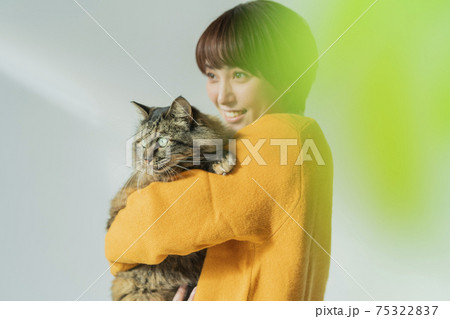 なつく 猫 人物の写真素材