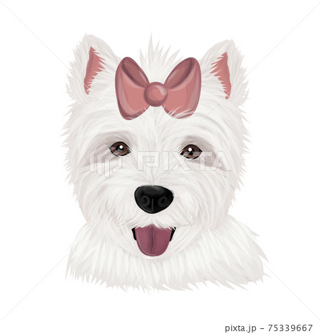 ウエスティのイラスト素材