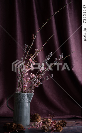 ネコヤナギ 花 フラワーアレンジメント 生け花の写真素材