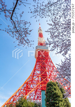 東京タワー かわいい 東京 タワーの写真素材