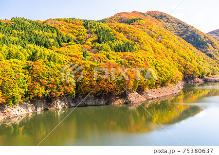 白神山地照片素材