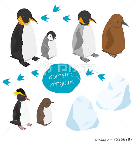 ペンギン かわいい イラスト アイコンの写真素材