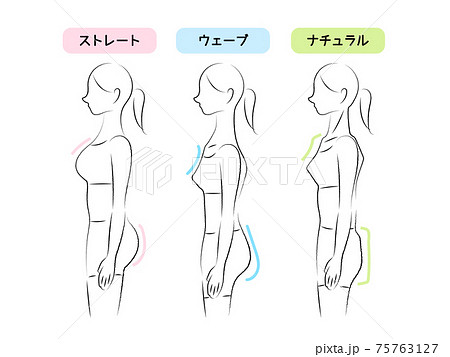 女性 体型 体 横向きの写真素材