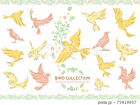 鳩 鳥 ハト スケッチのイラスト素材