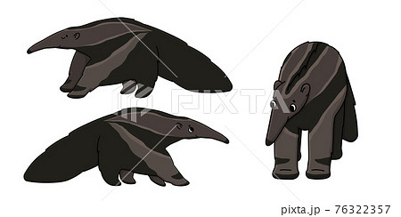 アリクイのイラスト素材