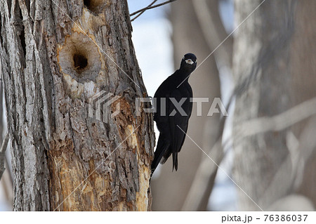 正面顔の写真素材