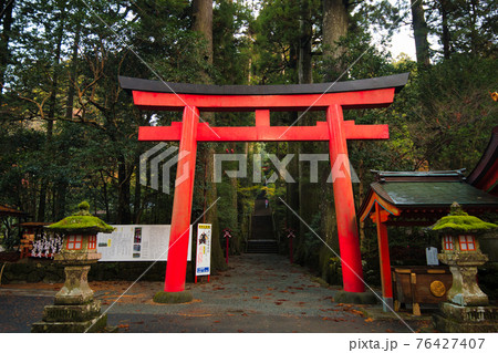 安産杉 箱根神社の写真素材