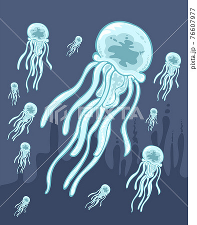 クラゲ 海月 綺麗のイラスト素材