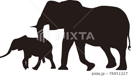 ぞう 象 のイラスト素材集 ピクスタ