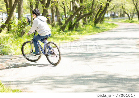 子供 自転車 乗る 後ろ姿の写真素材